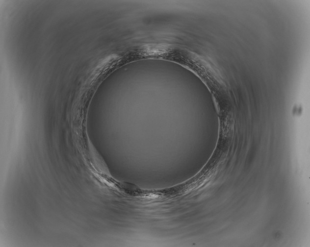 X0000096971441200802081242