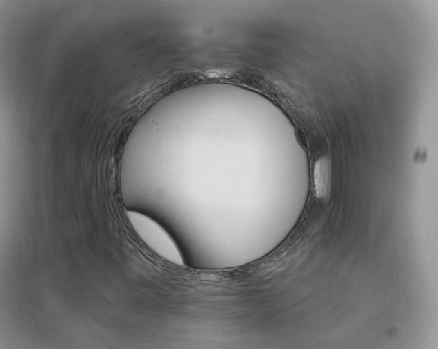 X0000096971443200802081242