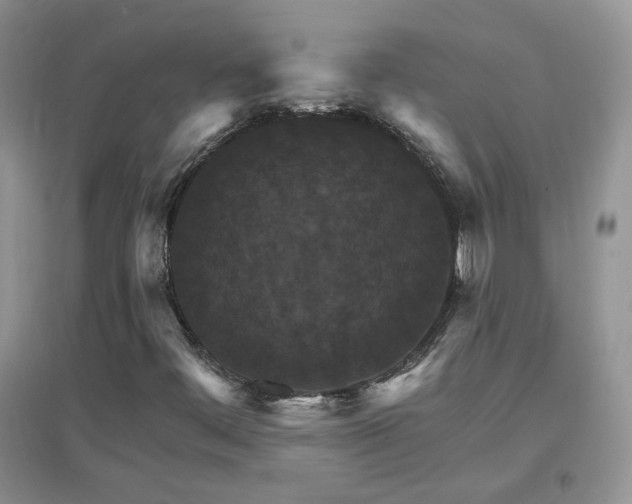 X0000096971444200802081242