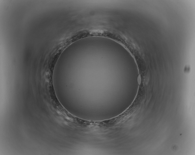 X0000096971445200802081241