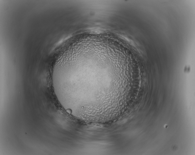 X0000096971446200802081241