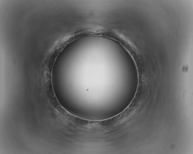 X0000096971447200802081241