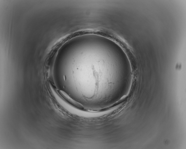 X0000096971448200802081241