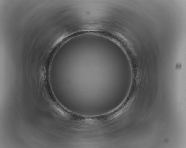 X0000096971449200802081241