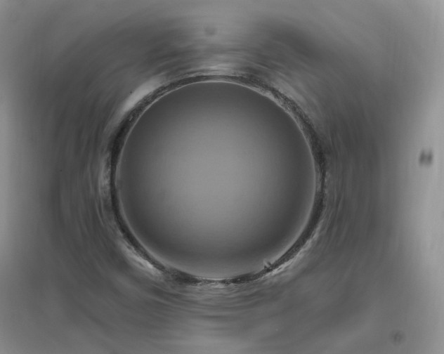 X0000096971450200802081241