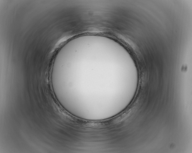 X0000096971451200802081241