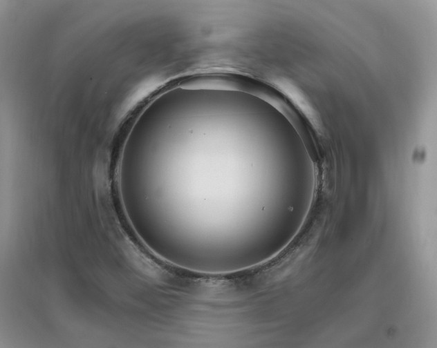 X0000096971452200802081241