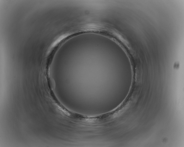 X0000096971453200802081241