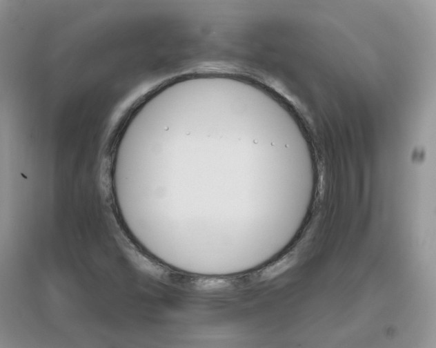X0000096971454200802081241