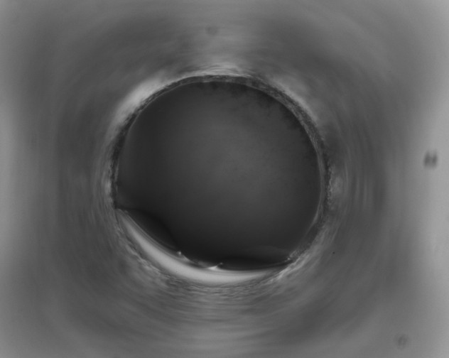 X0000096971455200802081241