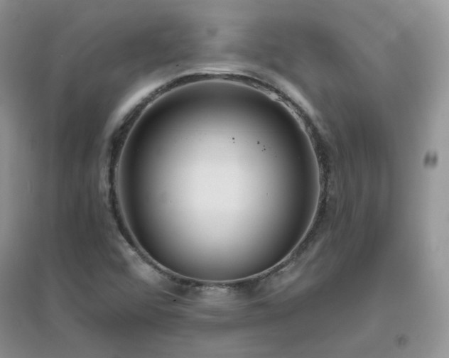 X0000096971456200802081241