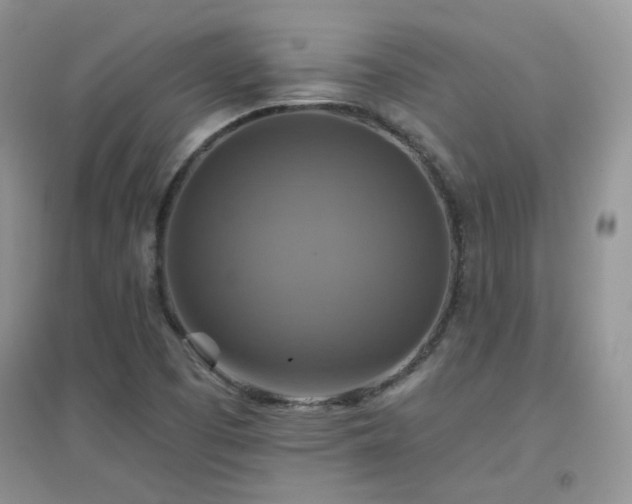 X0000096971457200802081241