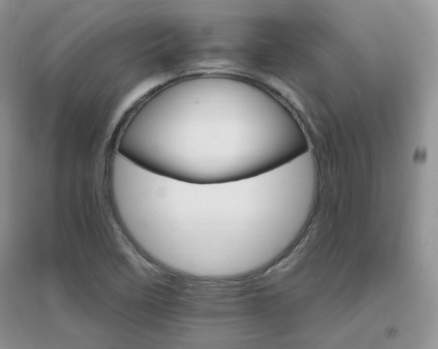 X0000096971458200802081241