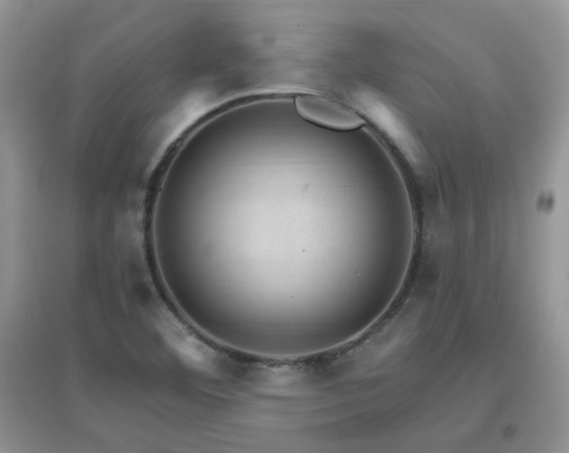 X0000096971460200802081241