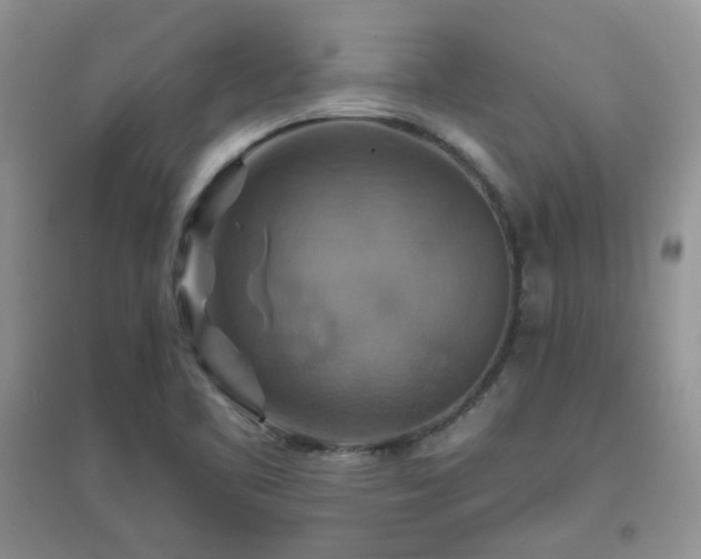 X0000096971461200802081241