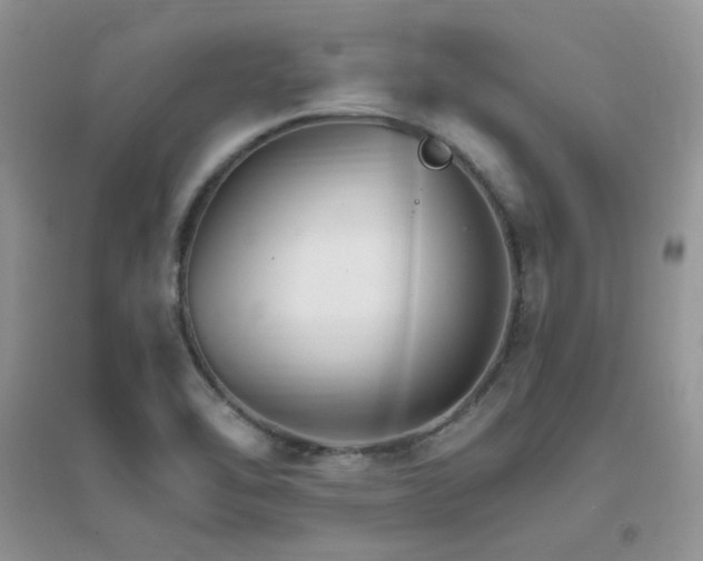 X0000096971462200802081241
