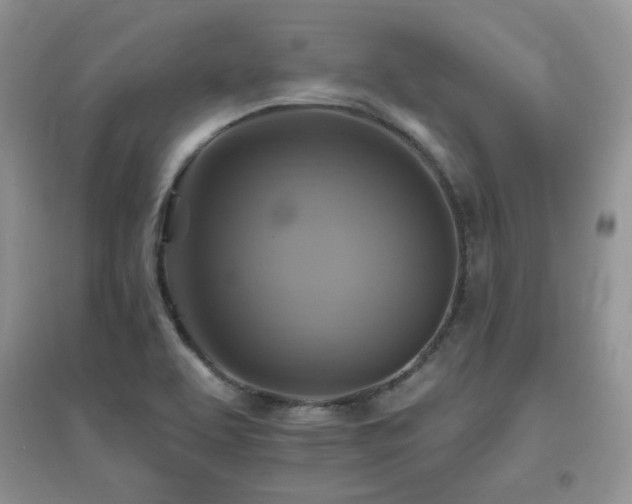 X0000096971463200802081241