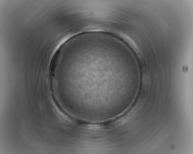 X0000096971465200802081241
