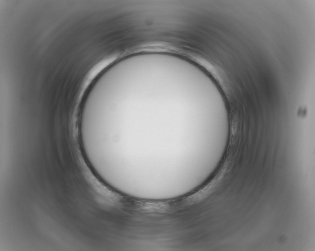 X0000096971466200802081241
