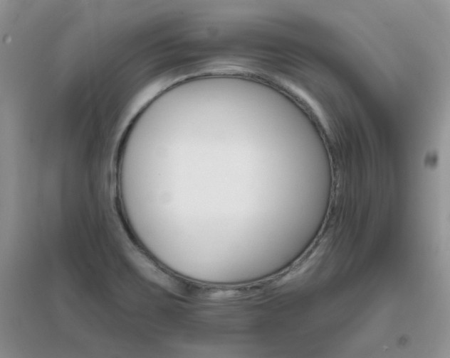 X0000096971467200802081241