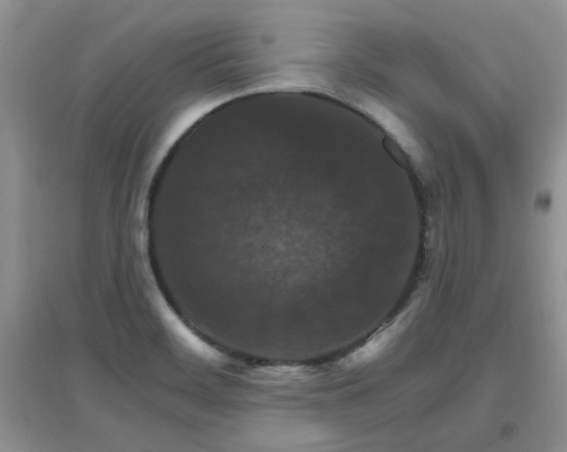 X0000096971468200802081241