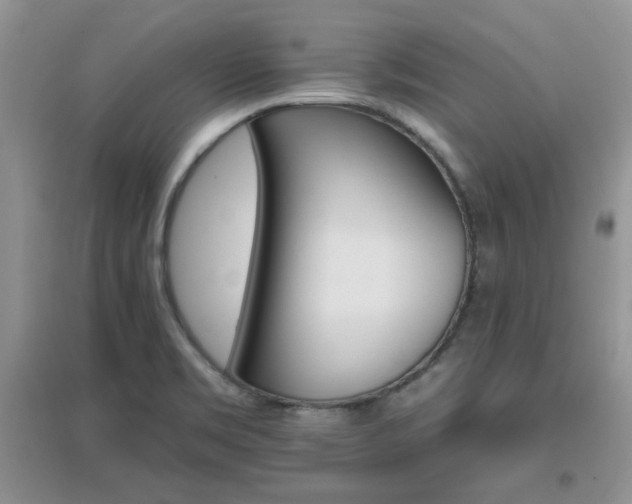 X0000096971469200802081241
