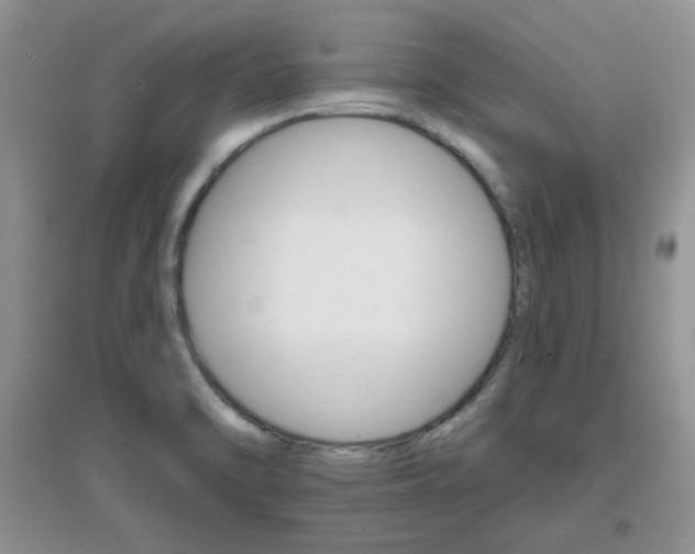 X0000096971470200802081241