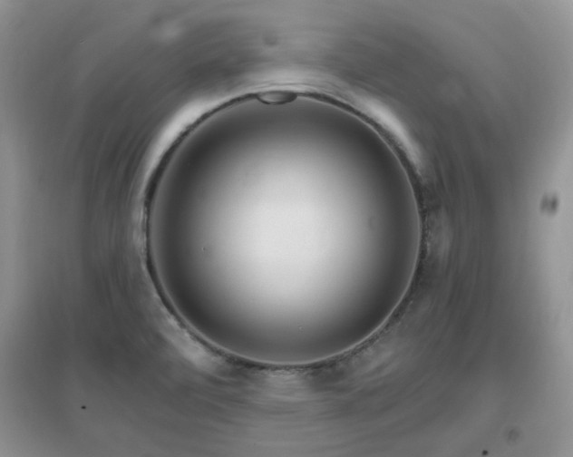 X0000096971472200802081241