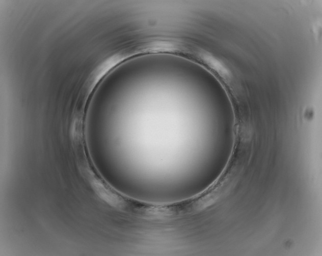 X0000096971473200802081241
