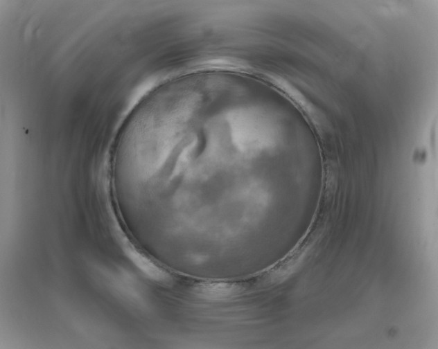 X0000096971474200802081241