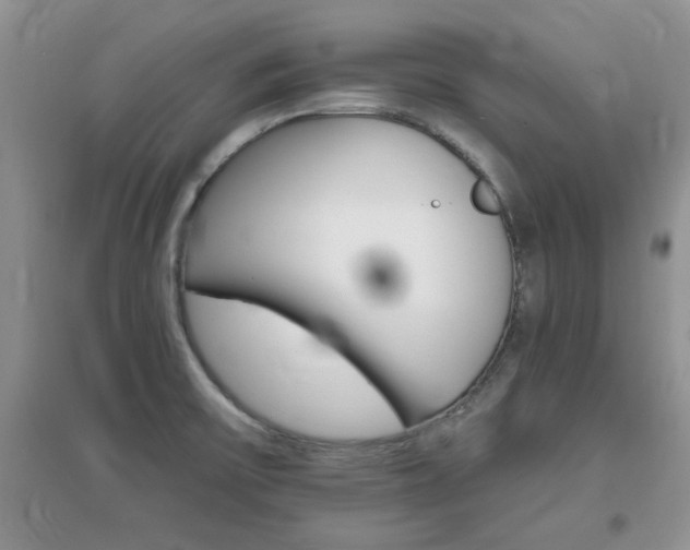 X0000096971475200802081241