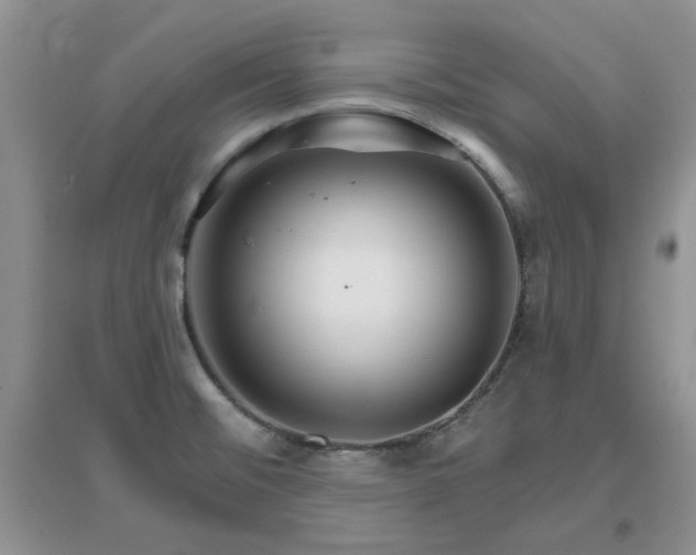 X0000096971476200802081241