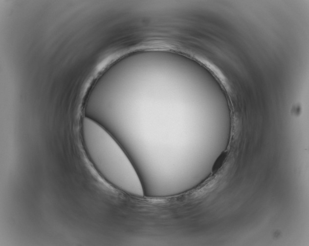 X0000096971477200802081241