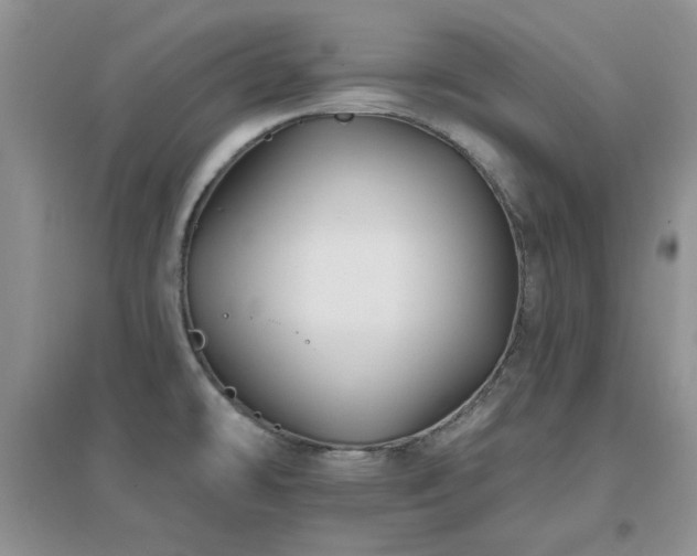 X0000096971478200802081241