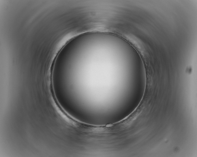X0000096971479200802081241
