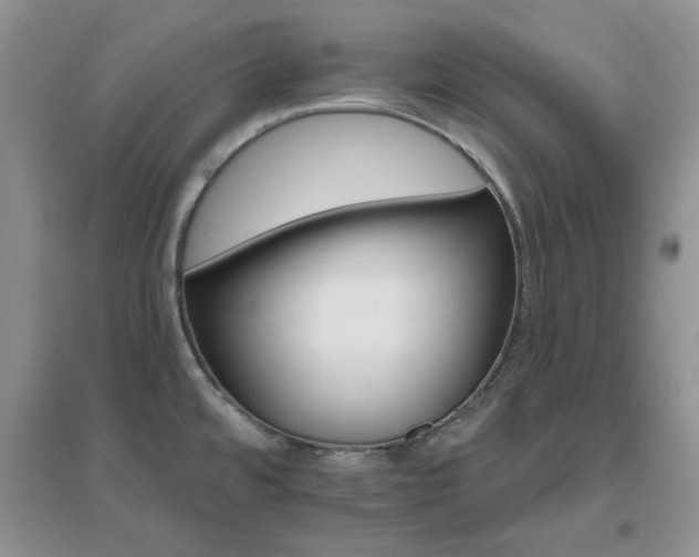 X0000096971480200802081241