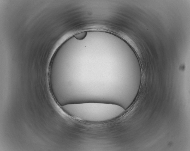 X0000096971482200802081241