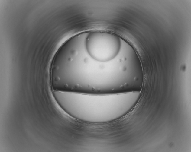 X0000096971483200802081241