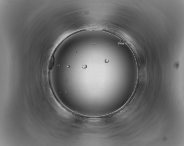 X0000096971484200802081241