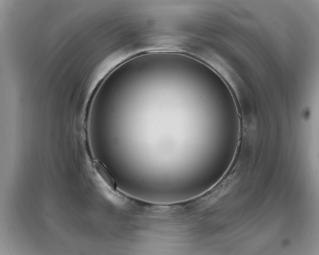 X0000096971485200802081241