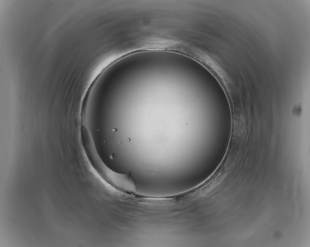 X0000096971487200802081241