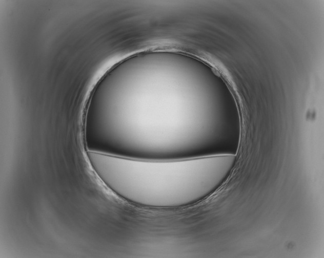 X0000096971488200802081241