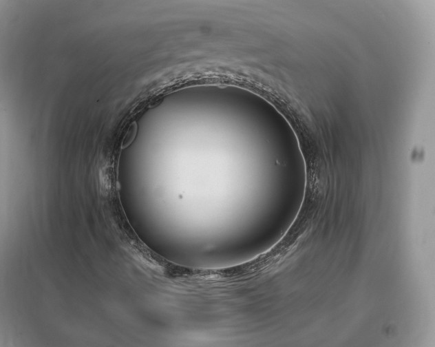 X0000096971490200802081240