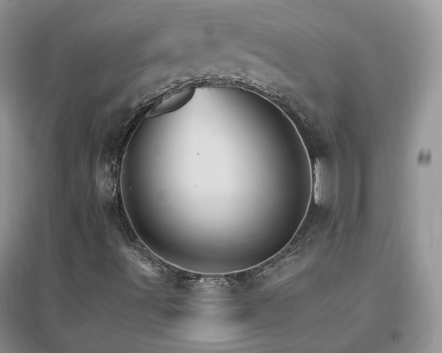 X0000096971491200802081240