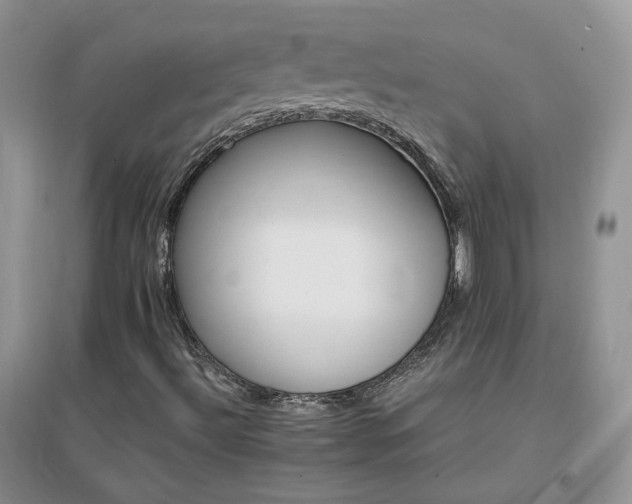 X0000096971492200802081240