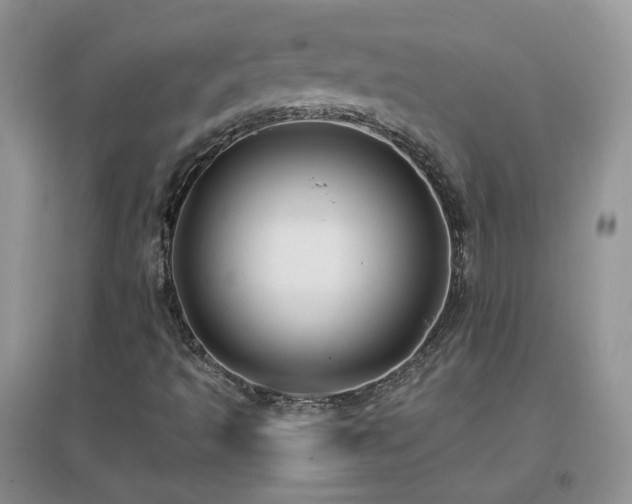 X0000096971493200802081240