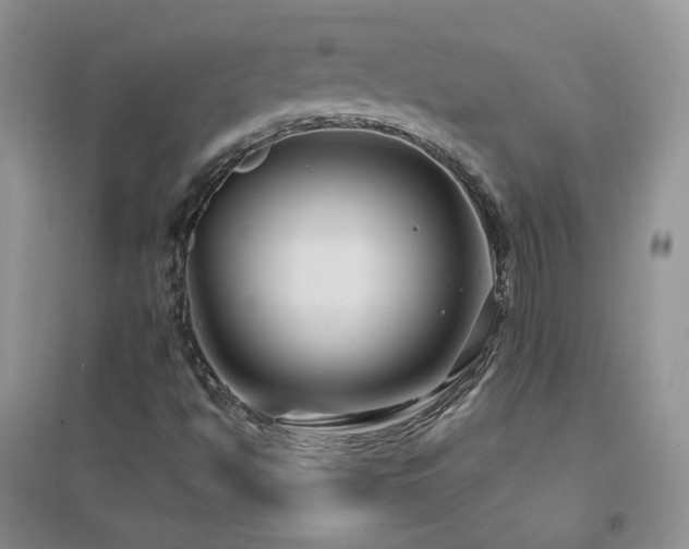 X0000096971494200802081240