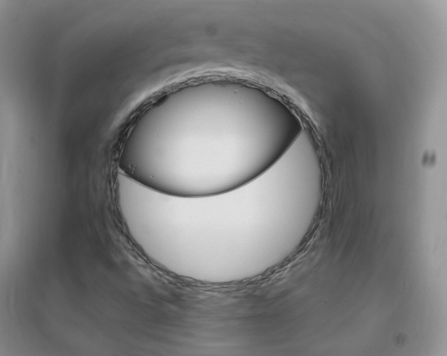 X0000096971496200802081240