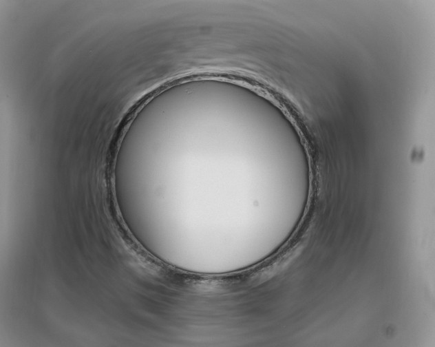 X0000096971497200802081240