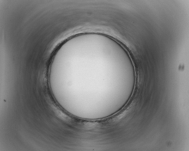 X0000096971498200802081240